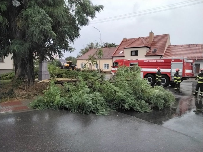Silný vítr během bouřek lámal stromy a větve.