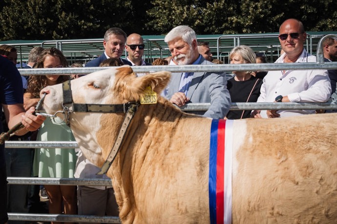 Prezident Petr Pavel se podíval na dobytek.