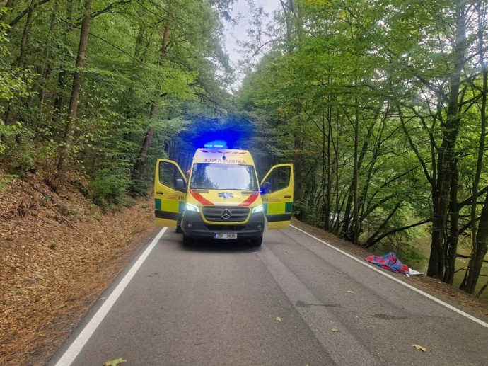 Děti odvezla záchranka do nemocnice. 