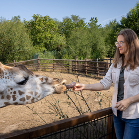 Chovný samec Finn přicestoval do Zoo Praha z nizozemského Safariparku Beekse Bergen 