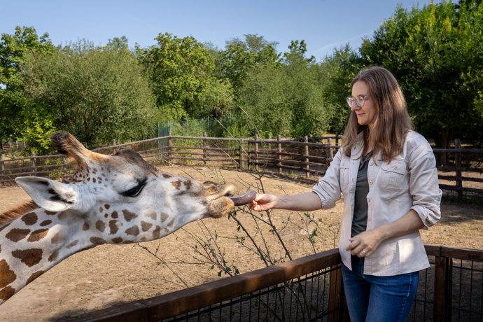 Chovný samec Finn přicestoval do Zoo Praha z nizozemského Safariparku Beekse Bergen Chovný samec Finn přicestoval do Zoo Praha z nizozemského Safariparku Beekse Bergen