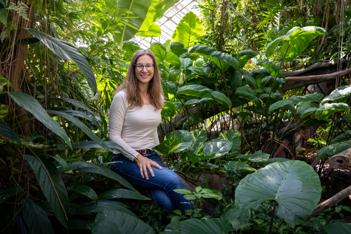 V pavilonu Indonéská džungle s vegetací u expozice orangutanů sumaterských V pavilonu Indonéská džungle s vegetací u expozice orangutanů sumaterských