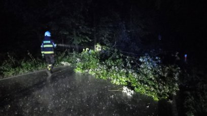 FOTO: Stromy spadly přes silnici.