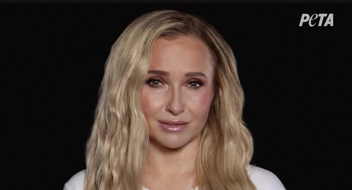 Hayden Panettiere zemřela ve 36 letech. 