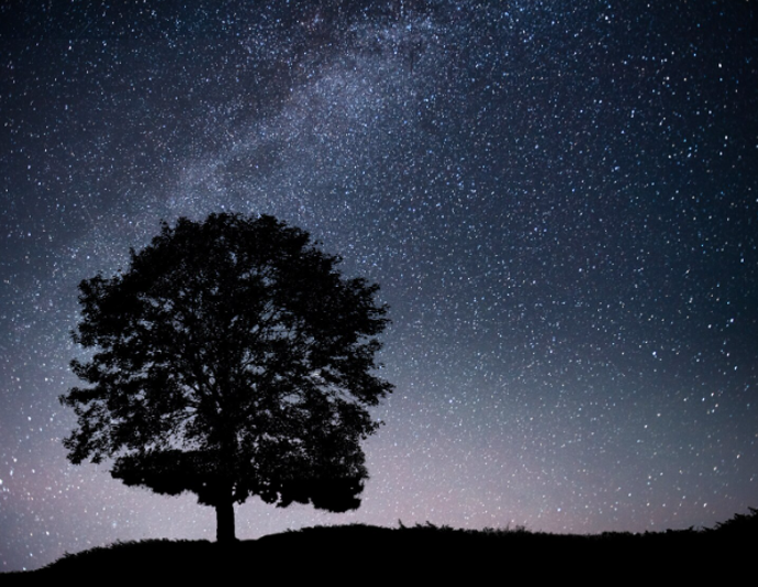 Které magické místo je vaším zdrojem energie? Pro každé znamení je jiné. Dobije vás tiché jezero, starý hrad nebo bylinková zahrada?