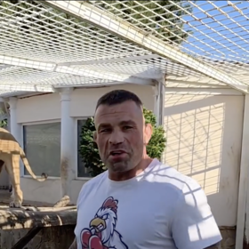 Karlos Vémola natočil netradiční reklamní video přímo ve výběhu svých lvů.