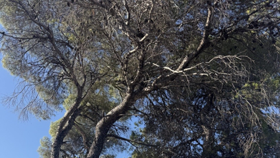 FOTO: Jan Bendig na ostrově Skopelos.
