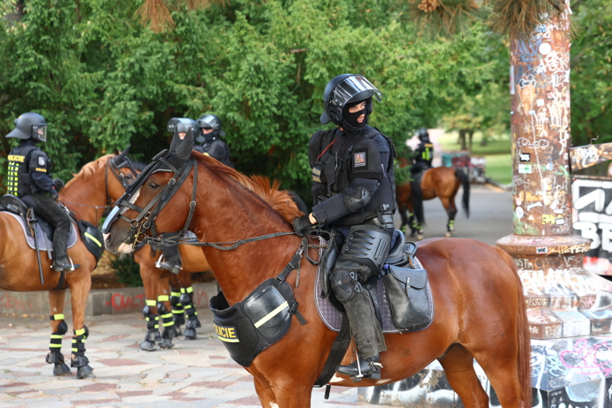 Policie na koních