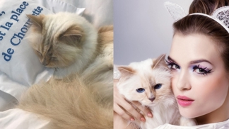 14 věcí, které byste měli vědět o Choupette Lagerfeld