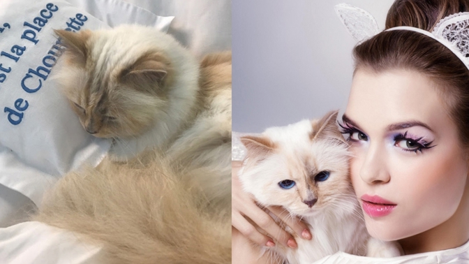 14 věcí, které byste měli vědět o Choupette Lagerfeld