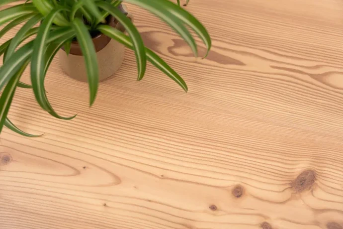 Korek z osmdesátek se vrací! Dnešní korkové podlahy jsou pohodlné i odolné a nabízejí mnoho barev a designů