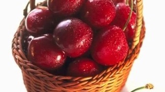 Největší pražský farmářský trh se chystá v Karlíně