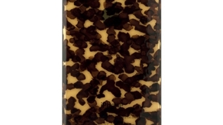 Bojíte se o svůj iPhone? Nemusíte, želva ho ochrání