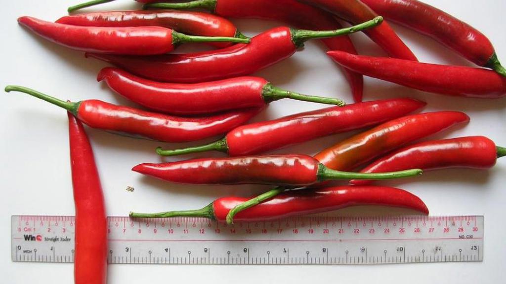 Rychlokurz: co byste měli vědět o pepři, zázvoru a chilli Rychlokurz: co byste měli vědět o pepři, zázvoru a chilli