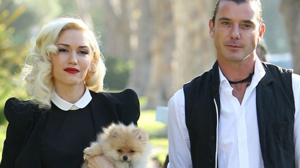 Je vědecky vysvětleno, proč se letos v srpnu rozešli Gwen Stefani a Gavin Rossdale a další slavné páry!