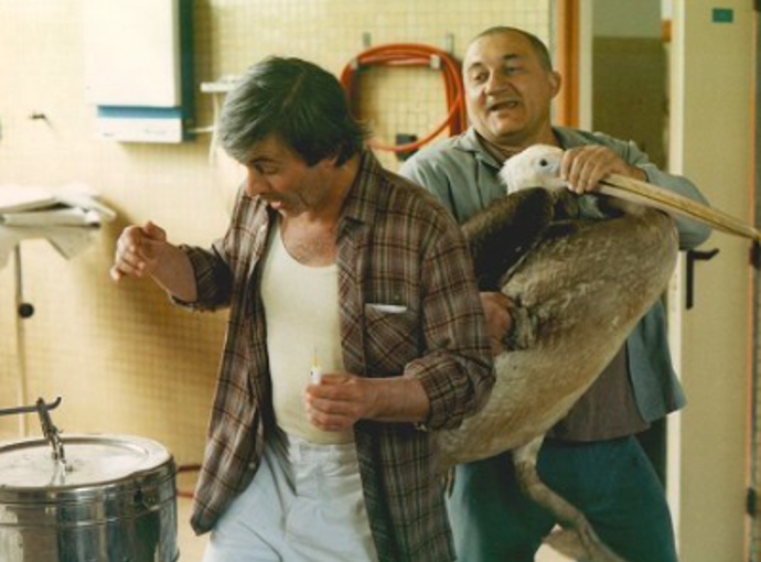 Srstka ve filmu Dva lidi v ZOO