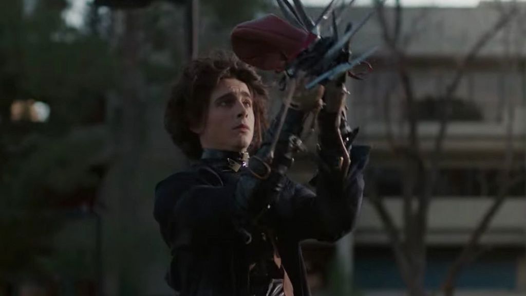 Timothée Chalamet