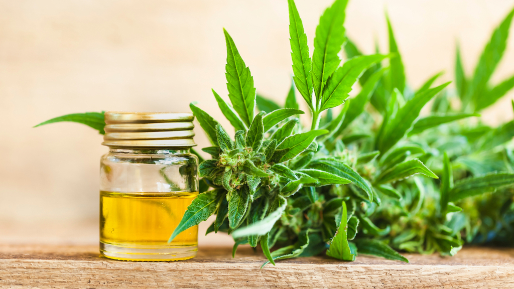 Potřebujete restart? Zkuste speciální wellness balíček s konopím.