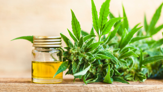 Potřebujete restart? Zkuste speciální wellness balíček s konopím.
