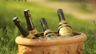 Champagne garden party