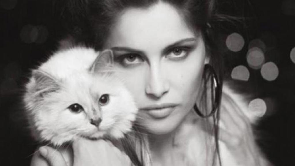 Choupette Lagerfeld Choupette Lagerfeld