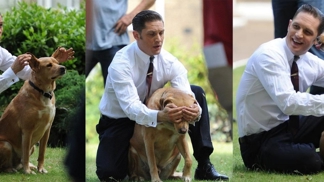Tom Hardy a jeho pocta nejlepšímu kamarádovi