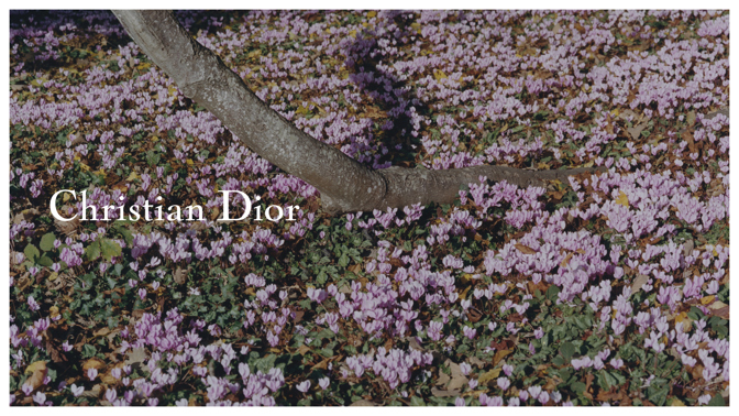 ŽIVĚ z Paříže: Přijměte pozvání na show Dior Haute Couture SS26