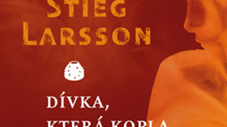 Dívka, která kopla do vosího hnízda