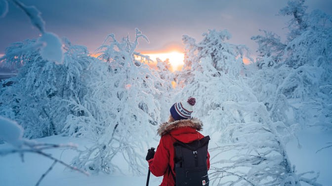 Only in print: Laponsko