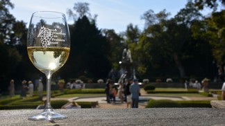 Za vinobraním nemusíte jen na Moravu. První zářijový víkend se koná Vinobraní na Pražském hradě. Moravská vína tu chybět nebudou Za vinobraním nemusíte jen na Moravu. První zářijový víkend se koná Vinobraní na Pražském hradě. Moravská vína tu chybět nebudou