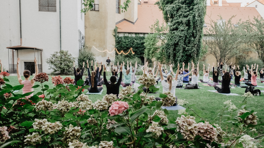 Yoga Movement Experience