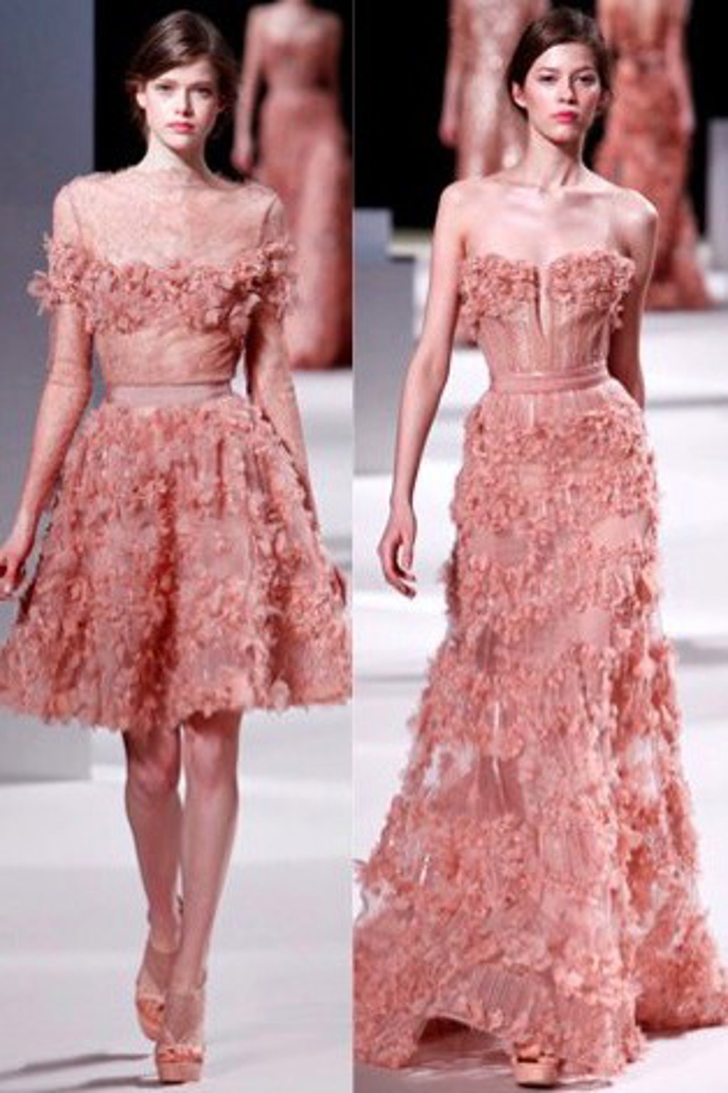 Elie Saab haute couture S/S 2011 Elie Saab haute couture S/S 2011
