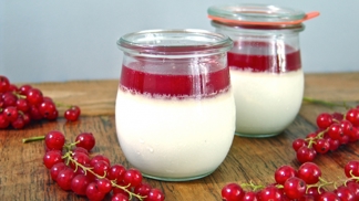 ELLE Menu: Rybízová panna cotta
