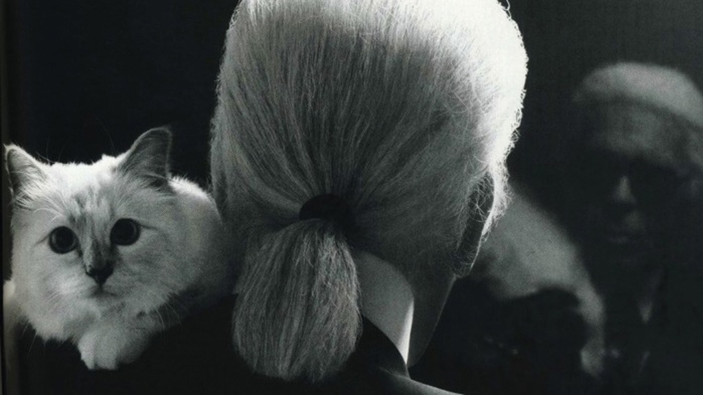 Karl Lagerfeld navrhl kolekci inspirovanou svou kočkou! Karl Lagerfeld navrhl kolekci inspirovanou svou kočkou!
