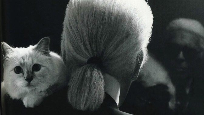 Karl Lagerfeld navrhl kolekci inspirovanou svou kočkou!