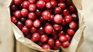 Biošvestky, křepelčí vejce a brusinky na Náplavce
