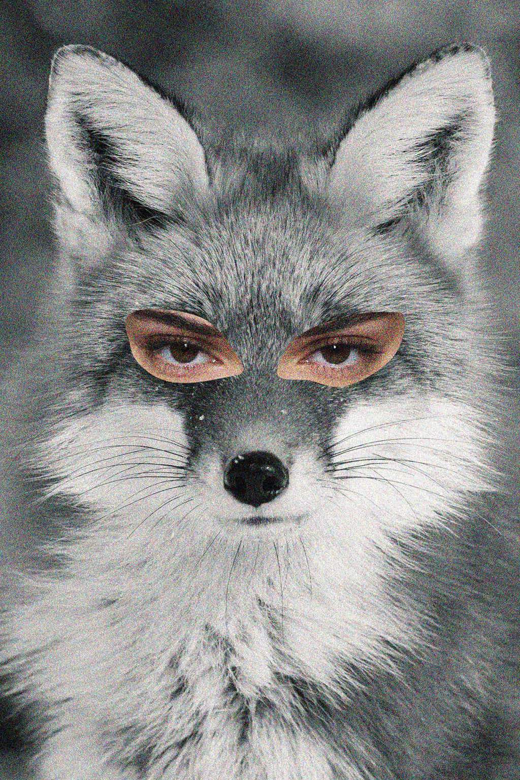 Foxy Eyes Foxy Eyes