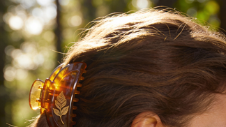 Hair Clip Hair Clip
