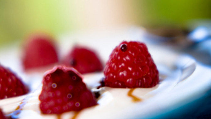 Frozen yogurt - nový hit