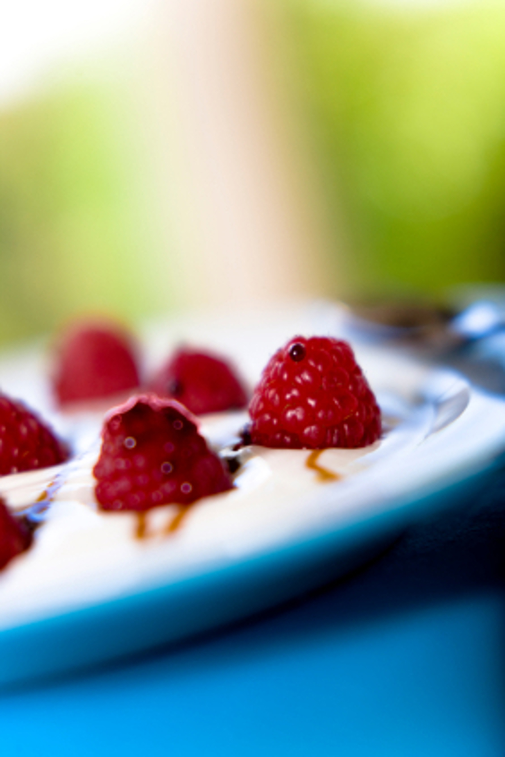 Frozen yogurt - nový hit Frozen yogurt - nový hit