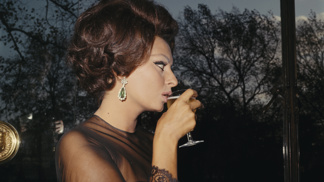 Sophia Loren