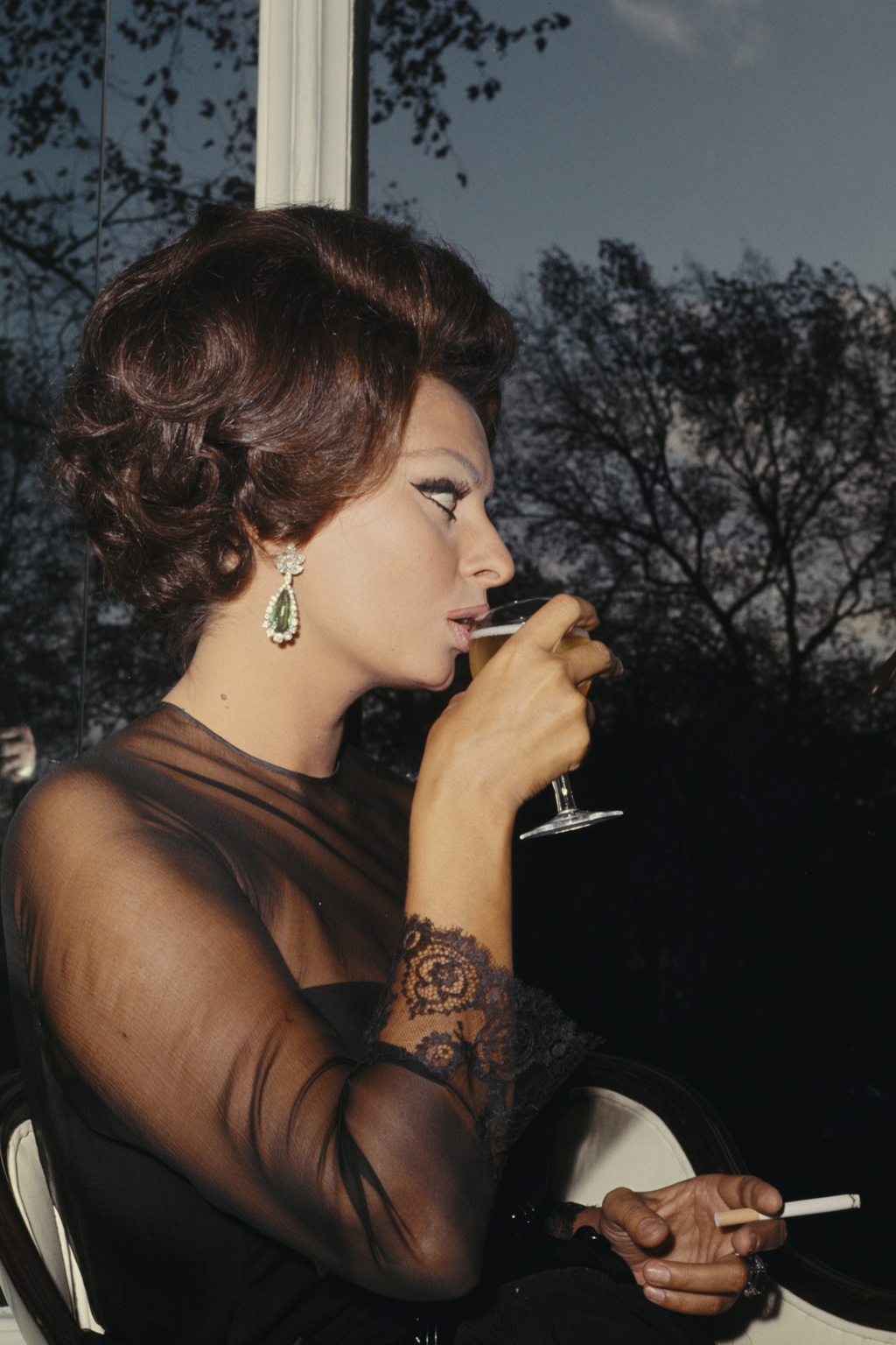 Sophia Loren Sophia Loren
