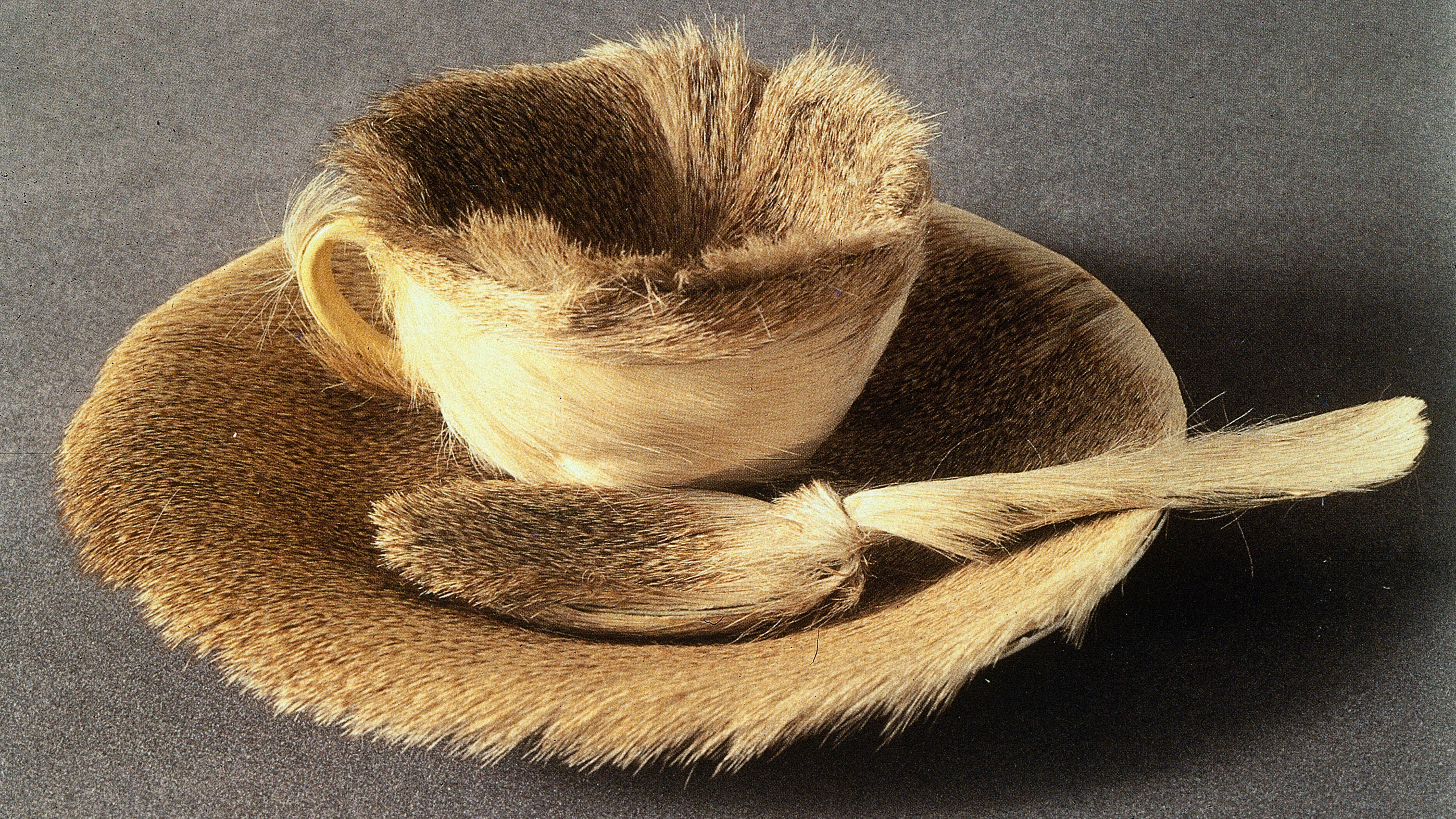Objekt od Méret Oppenheim