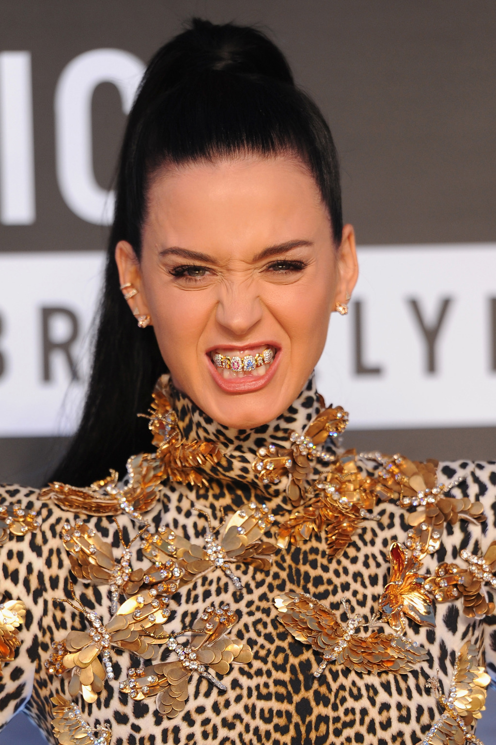 Katy Perry Katy Perry