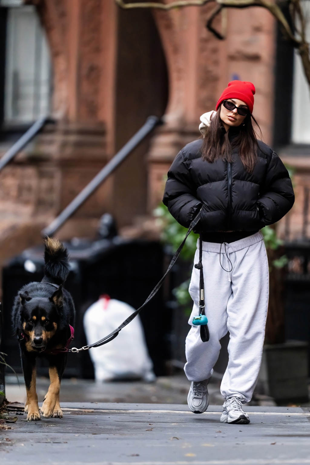 Emily Ratajkowski při procházce se psem
Emily Ratajkowski při procházce se psem