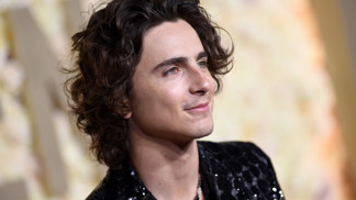  

Timothée Chalamet jako zástupce babygirl mužů 
