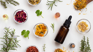 herbs and flowers