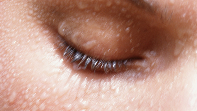  

SeaSalt
