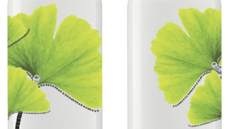 Gisele Bundchen pro Sigg