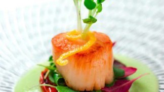 Grand Restaurant Festival